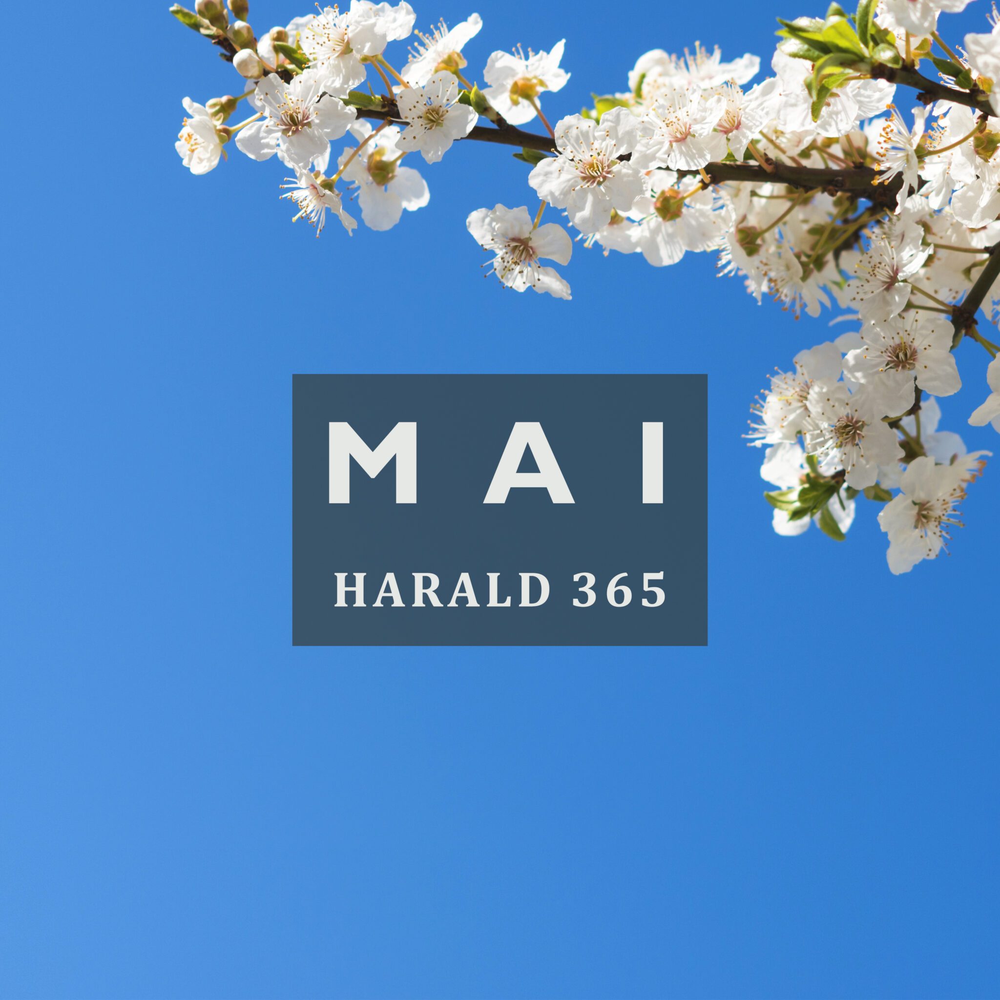 vrikke litt på rumpa | Harald Troøyen